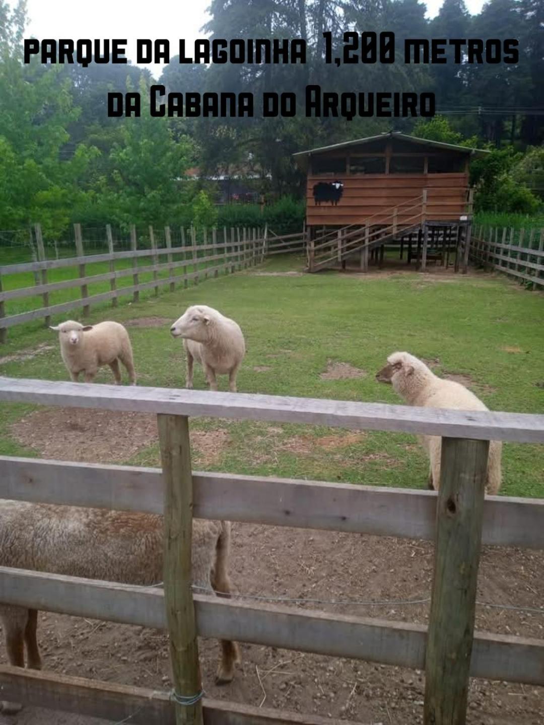 Do Arqueiro Tenda de luxo